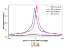 ChIP-Exo-Seq composite graph for Anti-ATF2 (HPA022134, Lot A106709) tested in K562 cells. Strand-specific reads (blue: forward, red: reverse) and IgG controls (black: forward, grey: reverse) are plotted against the distance from a composite set of reference binding sites. The antibody exhibits robust target enrichment compared to a non-specific IgG control and precisely reveals its structural organization around the binding site. Data generated by Prof. B. F. Pugh´s Lab at Cornell University.