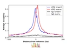ChIP-Exo-Seq composite graph for Anti-ATF2 (HPA022134, Lot A106709) tested in K562 cells. Strand-specific reads (blue: forward, red: reverse) and IgG controls (black: forward, grey: reverse) are plotted against the distance from a composite set of reference binding sites. The antibody exhibits robust target enrichment compared to a non-specific IgG control and precisely reveals its structural organization around the binding site. Data generated by Prof. B. F. Pugh´s Lab at Cornell University.