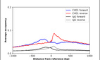 ChIP-Exo-Seq composite graph for Anti-CHD1 (HPA022236, Lot 000008248) tested in K562 cells. Strand-specific reads (blue: forward, red: reverse) and IgG controls (black: forward, grey: reverse) are plotted against the distance from a composite set of reference binding sites. The antibody exhibits robust target enrichment compared to a non-specific IgG control and precisely reveals its structural organization around the binding site. Data generated by Prof. B. F. Pugh´s Lab at Cornell University.