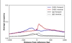 ChIP-Exo-Seq composite graph for Anti-CHD1 (HPA022236, Lot 000008248) tested in K562 cells. Strand-specific reads (blue: forward, red: reverse) and IgG controls (black: forward, grey: reverse) are plotted against the distance from a composite set of reference binding sites. The antibody exhibits robust target enrichment compared to a non-specific IgG control and precisely reveals its structural organization around the binding site. Data generated by Prof. B. F. Pugh´s Lab at Cornell University.