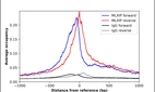 ChIP-Exo-Seq composite graph for Anti-MLXIP (HPA023084, Lot R09255) tested in K562 cells. Strand-specific reads (blue: forward, red: reverse) and IgG controls (black: forward, grey: reverse) are plotted against the distance from a composite set of reference binding sites. The antibody exhibits robust target enrichment compared to a non-specific IgG control and precisely reveals its structural organization around the binding site. Data generated by Prof. B. F. Pugh´s Lab at Cornell University.