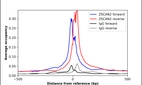 ChIP-Exo-Seq composite graph for Anti-ZSCAN2 (HPA024331, Lot R10969) tested in K562 cells. Strand-specific reads (blue: forward, red: reverse) and IgG controls (black: forward, grey: reverse) are plotted against the distance from a composite set of reference binding sites. The antibody exhibits robust target enrichment compared to a non-specific IgG control and precisely reveals its structural organization around the binding site. Data generated by Prof. B. F. Pugh´s Lab at Cornell University.