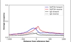 ChIP-Exo-Seq composite graph for Anti-SUPT3H (HPA024371, Lot R11543) tested in K562 cells. Strand-specific reads (blue: forward, red: reverse) and IgG controls (black: forward, grey: reverse) are plotted against the distance from a composite set of reference binding sites. The antibody exhibits robust target enrichment compared to a non-specific IgG control and precisely reveals its structural organization around the binding site. Data generated by Prof. B. F. Pugh´s Lab at Cornell University.