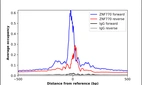 ChIP-Exo-Seq composite graph for Anti-ZNF770 (HPA024518, Lot R11642) tested in K562 cells. Strand-specific reads (blue: forward, red: reverse) and IgG controls (black: forward, grey: reverse) are plotted against the distance from a composite set of reference binding sites. The antibody exhibits robust target enrichment compared to a non-specific IgG control and precisely reveals its structural organization around the binding site. Data generated by Prof. B. F. Pugh´s Lab at Cornell University.