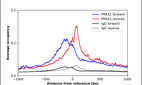 ChIP-Exo-Seq composite graph for Anti-PRRX2 (HPA026808, Lot 000033259) tested in K562 cells. Strand-specific reads (blue: forward, red: reverse) and IgG controls (black: forward, grey: reverse) are plotted against the distance from a composite set of reference binding sites. The antibody exhibits robust target enrichment compared to a non-specific IgG control and precisely reveals its structural organization around the binding site. Data generated by Prof. B. F. Pugh´s Lab at Cornell University.