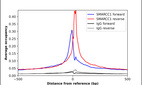 ChIP-Exo-Seq composite graph for Anti-SMARCC1 (HPA026853, Lot 000025271) tested in K562 cells. Strand-specific reads (blue: forward, red: reverse) and IgG controls (black: forward, grey: reverse) are plotted against the distance from a composite set of reference binding sites. The antibody exhibits robust target enrichment compared to a non-specific IgG control and precisely reveals its structural organization around the binding site. Data generated by Prof. B. F. Pugh´s Lab at Cornell University.