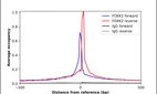 ChIP-Exo-Seq composite graph for Anti-FOXK2 (HPA027523, Lot 000010450) tested in K562 cells. Strand-specific reads (blue: forward, red: reverse) and IgG controls (black: forward, grey: reverse) are plotted against the distance from a composite set of reference binding sites. The antibody exhibits robust target enrichment compared to a non-specific IgG control and precisely reveals its structural organization around the binding site. Data generated by Prof. B. F. Pugh´s Lab at Cornell University.
