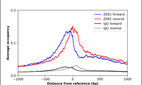 ChIP-Exo-Seq composite graph for Anti-ZEB1 (HPA027524, Lot 000041609) tested in K562 cells. Strand-specific reads (blue: forward, red: reverse) and IgG controls (black: forward, grey: reverse) are plotted against the distance from a composite set of reference binding sites. The antibody exhibits robust target enrichment compared to a non-specific IgG control and precisely reveals its structural organization around the binding site. Data generated by Prof. B. F. Pugh´s Lab at Cornell University.