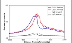 ChIP-Exo-Seq composite graph for Anti-ZEB1 (HPA027524, Lot 000041609) tested in K562 cells. Strand-specific reads (blue: forward, red: reverse) and IgG controls (black: forward, grey: reverse) are plotted against the distance from a composite set of reference binding sites. The antibody exhibits robust target enrichment compared to a non-specific IgG control and precisely reveals its structural organization around the binding site. Data generated by Prof. B. F. Pugh´s Lab at Cornell University.