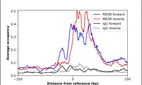ChIP-Exo-Seq composite graph for Anti-MED8 (HPA028438, Lot R27269) tested in K562 cells. Strand-specific reads (blue: forward, red: reverse) and IgG controls (black: forward, grey: reverse) are plotted against the distance from a composite set of reference binding sites. The antibody exhibits robust target enrichment compared to a non-specific IgG control and precisely reveals its structural organization around the binding site. Data generated by Prof. B. F. Pugh´s Lab at Cornell University.