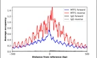 ChIP-Exo-Seq composite graph for Anti-MTF1 (HPA028689, Lot A117481) tested in K562 cells. Strand-specific reads (blue: forward, red: reverse) and IgG controls (black: forward, grey: reverse) are plotted against the distance from a composite set of reference binding sites. The antibody exhibits robust target enrichment compared to a non-specific IgG control and precisely reveals its structural organization around the binding site. Data generated by Prof. B. F. Pugh´s Lab at Cornell University.