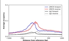 ChIP-Exo-Seq composite graph for Anti-ZNF25 (HPA030190, Lot R28988) tested in K562 cells. Strand-specific reads (blue: forward, red: reverse) and IgG controls (black: forward, grey: reverse) are plotted against the distance from a composite set of reference binding sites. The antibody exhibits robust target enrichment compared to a non-specific IgG control and precisely reveals its structural organization around the binding site. Data generated by Prof. B. F. Pugh´s Lab at Cornell University.