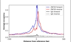 ChIP-Exo-Seq composite graph for Anti-ZNF30 (HPA030400, Lot 000030021) tested in K562 cells. Strand-specific reads (blue: forward, red: reverse) and IgG controls (black: forward, grey: reverse) are plotted against the distance from a composite set of reference binding sites. The antibody exhibits robust target enrichment compared to a non-specific IgG control and precisely reveals its structural organization around the binding site. Data generated by Prof. B. F. Pugh´s Lab at Cornell University.