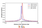 ChIP-Exo-Seq composite graph for Anti-HSF2 (HPA031455, Lot B116429) tested in K562 cells. Strand-specific reads (blue: forward, red: reverse) and IgG controls (black: forward, grey: reverse) are plotted against the distance from a composite set of reference binding sites. The antibody exhibits robust target enrichment compared to a non-specific IgG control and precisely reveals its structural organization around the binding site. Data generated by Prof. B. F. Pugh´s Lab at Cornell University.