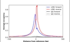 ChIP-Exo-Seq composite graph for Anti-LDB1 (HPA034488, Lot A118406) tested in K562 cells. Strand-specific reads (blue: forward, red: reverse) and IgG controls (black: forward, grey: reverse) are plotted against the distance from a composite set of reference binding sites. The antibody exhibits robust target enrichment compared to a non-specific IgG control and precisely reveals its structural organization around the binding site. Data generated by Prof. B. F. Pugh´s Lab at Cornell University.