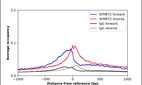 ChIP-Exo-Seq composite graph for Anti-SFMBT2 (HPA035448, Lot A81298) tested in K562 cells. Strand-specific reads (blue: forward, red: reverse) and IgG controls (black: forward, grey: reverse) are plotted against the distance from a composite set of reference binding sites. The antibody exhibits robust target enrichment compared to a non-specific IgG control and precisely reveals its structural organization around the binding site. Data generated by Prof. B. F. Pugh´s Lab at Cornell University.