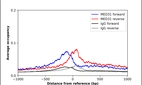 ChIP-Exo-Seq composite graph for Anti-MED31 (HPA035947, Lot R34574) tested in K562 cells. Strand-specific reads (blue: forward, red: reverse) and IgG controls (black: forward, grey: reverse) are plotted against the distance from a composite set of reference binding sites. The antibody exhibits robust target enrichment compared to a non-specific IgG control and precisely reveals its structural organization around the binding site. Data generated by Prof. B. F. Pugh´s Lab at Cornell University.