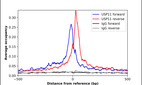 ChIP-Exo-Seq composite graph for Anti-USP11 (HPA037536, Lot 000003359) tested in K562 cells. Strand-specific reads (blue: forward, red: reverse) and IgG controls (black: forward, grey: reverse) are plotted against the distance from a composite set of reference binding sites. The antibody exhibits robust target enrichment compared to a non-specific IgG control and precisely reveals its structural organization around the binding site. Data generated by Prof. B. F. Pugh´s Lab at Cornell University.