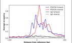 ChIP-Exo-Seq composite graph for Anti-POLR3A (HPA037926, Lot A114684) tested in K562 cells. Strand-specific reads (blue: forward, red: reverse) and IgG controls (black: forward, grey: reverse) are plotted against the distance from a composite set of reference binding sites. The antibody exhibits robust target enrichment compared to a non-specific IgG control and precisely reveals its structural organization around the binding site. Data generated by Prof. B. F. Pugh´s Lab at Cornell University.