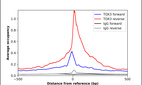 ChIP-Exo-Seq composite graph for Anti-TOX3 (HPA040376, Lot 000041382) tested in K562 cells. Strand-specific reads (blue: forward, red: reverse) and IgG controls (black: forward, grey: reverse) are plotted against the distance from a composite set of reference binding sites. The antibody exhibits robust target enrichment compared to a non-specific IgG control and precisely reveals its structural organization around the binding site. Data generated by Prof. B. F. Pugh´s Lab at Cornell University.