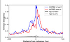 ChIP-Exo-Seq composite graph for Anti-WDR82 (HPA040427, Lot 000041193) tested in K562 cells. Strand-specific reads (blue: forward, red: reverse) and IgG controls (black: forward, grey: reverse) are plotted against the distance from a composite set of reference binding sites. The antibody exhibits robust target enrichment compared to a non-specific IgG control and precisely reveals its structural organization around the binding site. Data generated by Prof. B. F. Pugh´s Lab at Cornell University.