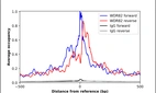 ChIP-Exo-Seq composite graph for Anti-WDR82 (HPA040427, Lot 000041193) tested in K562 cells. Strand-specific reads (blue: forward, red: reverse) and IgG controls (black: forward, grey: reverse) are plotted against the distance from a composite set of reference binding sites. The antibody exhibits robust target enrichment compared to a non-specific IgG control and precisely reveals its structural organization around the binding site. Data generated by Prof. B. F. Pugh´s Lab at Cornell University.