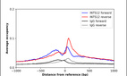 ChIP-Exo-Seq composite graph for Anti-INTS12 (HPA041814, Lot R38263) tested in K562 cells. Strand-specific reads (blue: forward, red: reverse) and IgG controls (black: forward, grey: reverse) are plotted against the distance from a composite set of reference binding sites. The antibody exhibits robust target enrichment compared to a non-specific IgG control and precisely reveals its structural organization around the binding site. Data generated by Prof. B. F. Pugh´s Lab at Cornell University.