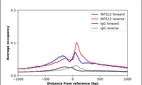 ChIP-Exo-Seq composite graph for Anti-INTS12 (HPA041814, Lot R38263) tested in K562 cells. Strand-specific reads (blue: forward, red: reverse) and IgG controls (black: forward, grey: reverse) are plotted against the distance from a composite set of reference binding sites. The antibody exhibits robust target enrichment compared to a non-specific IgG control and precisely reveals its structural organization around the binding site. Data generated by Prof. B. F. Pugh´s Lab at Cornell University.