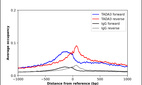 ChIP-Exo-Seq composite graph for Anti-TADA3 (HPA042250, Lot 000010670) tested in K562 cells. Strand-specific reads (blue: forward, red: reverse) and IgG controls (black: forward, grey: reverse) are plotted against the distance from a composite set of reference binding sites. The antibody exhibits robust target enrichment compared to a non-specific IgG control and precisely reveals its structural organization around the binding site. Data generated by Prof. B. F. Pugh´s Lab at Cornell University.