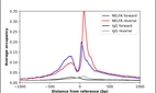 ChIP-Exo-Seq composite graph for Anti-NELFA (HPA043931, Lot R40005) tested in K562 cells. Strand-specific reads (blue: forward, red: reverse) and IgG controls (black: forward, grey: reverse) are plotted against the distance from a composite set of reference binding sites. The antibody exhibits robust target enrichment compared to a non-specific IgG control and precisely reveals its structural organization around the binding site. Data generated by Prof. B. F. Pugh´s Lab at Cornell University.