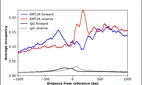 ChIP-Exo-Seq composite graph for Anti-KMT2A (HPA044910, Lot 000041384) tested in K562 cells. Strand-specific reads (blue: forward, red: reverse) and IgG controls (black: forward, grey: reverse) are plotted against the distance from a composite set of reference binding sites. The antibody exhibits robust target enrichment compared to a non-specific IgG control and precisely reveals its structural organization around the binding site. Data generated by Prof. B. F. Pugh´s Lab at Cornell University.