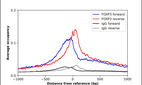 ChIP-Exo-Seq composite graph for Anti-FOXP3 (HPA045943, Lot 000025871) tested in K562 cells. Strand-specific reads (blue: forward, red: reverse) and IgG controls (black: forward, grey: reverse) are plotted against the distance from a composite set of reference binding sites. The antibody exhibits robust target enrichment compared to a non-specific IgG control and precisely reveals its structural organization around the binding site. Data generated by Prof. B. F. Pugh´s Lab at Cornell University.