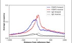 ChIP-Exo-Seq composite graph for Anti-FOXP3 (HPA045943, Lot 000025871) tested in K562 cells. Strand-specific reads (blue: forward, red: reverse) and IgG controls (black: forward, grey: reverse) are plotted against the distance from a composite set of reference binding sites. The antibody exhibits robust target enrichment compared to a non-specific IgG control and precisely reveals its structural organization around the binding site. Data generated by Prof. B. F. Pugh´s Lab at Cornell University.