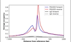 ChIP-Exo-Seq composite graph for Anti-POLR2D (HPA046092, Lot R43683) tested in K562 cells. Strand-specific reads (blue: forward, red: reverse) and IgG controls (black: forward, grey: reverse) are plotted against the distance from a composite set of reference binding sites. The antibody exhibits robust target enrichment compared to a non-specific IgG control and precisely reveals its structural organization around the binding site. Data generated by Prof. B. F. Pugh´s Lab at Cornell University.