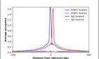 ChIP-Exo-Seq composite graph for Anti-SYAP1 (HPA048047, Lot R58020) tested in K562 cells. Strand-specific reads (blue: forward, red: reverse) and IgG controls (black: forward, grey: reverse) are plotted against the distance from a composite set of reference binding sites. The antibody exhibits robust target enrichment compared to a non-specific IgG control and precisely reveals its structural organization around the binding site. Data generated by Prof. B. F. Pugh´s Lab at Cornell University.