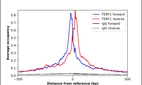 ChIP-Exo-Seq composite graph for Anti-TERF1 (HPA048379, Lot 000020195) tested in K562 cells. Strand-specific reads (blue: forward, red: reverse) and IgG controls (black: forward, grey: reverse) are plotted against the distance from a composite set of reference binding sites. The antibody exhibits robust target enrichment compared to a non-specific IgG control and precisely reveals its structural organization around the binding site. Data generated by Prof. B. F. Pugh´s Lab at Cornell University.