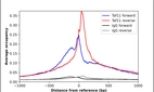 ChIP-Exo-Seq composite graph for Anti-TAF11 (HPA049127, Lot R59151) tested in K562 cells. Strand-specific reads (blue: forward, red: reverse) and IgG controls (black: forward, grey: reverse) are plotted against the distance from a composite set of reference binding sites. The antibody exhibits robust target enrichment compared to a non-specific IgG control and precisely reveals its structural organization around the binding site. Data generated by Prof. B. F. Pugh´s Lab at Cornell University.