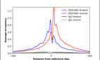 ChIP-Exo-Seq composite graph for Anti-ZKSCAN2 (HPA049141, Lot R59137) tested in K562 cells. Strand-specific reads (blue: forward, red: reverse) and IgG controls (black: forward, grey: reverse) are plotted against the distance from a composite set of reference binding sites. The antibody exhibits robust target enrichment compared to a non-specific IgG control and precisely reveals its structural organization around the binding site. Data generated by Prof. B. F. Pugh´s Lab at Cornell University.