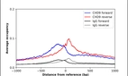 ChIP-Exo-Seq composite graph for Anti-CHD9 (HPA049420, Lot R59371) tested in K562 cells. Strand-specific reads (blue: forward, red: reverse) and IgG controls (black: forward, grey: reverse) are plotted against the distance from a composite set of reference binding sites. The antibody exhibits robust target enrichment compared to a non-specific IgG control and precisely reveals its structural organization around the binding site. Data generated by Prof. B. F. Pugh´s Lab at Cornell University.
