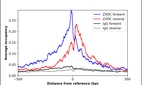 ChIP-Exo-Seq composite graph for Anti-ZXDC (HPA049593, Lot R59821) tested in K562 cells. Strand-specific reads (blue: forward, red: reverse) and IgG controls (black: forward, grey: reverse) are plotted against the distance from a composite set of reference binding sites. The antibody exhibits robust target enrichment compared to a non-specific IgG control and precisely reveals its structural organization around the binding site. Data generated by Prof. B. F. Pugh´s Lab at Cornell University.
