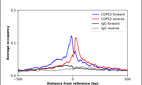 ChIP-Exo-Seq composite graph for Anti-COPS3 (HPA050557, Lot R60456) tested in K562 cells. Strand-specific reads (blue: forward, red: reverse) and IgG controls (black: forward, grey: reverse) are plotted against the distance from a composite set of reference binding sites. The antibody exhibits robust target enrichment compared to a non-specific IgG control and precisely reveals its structural organization around the binding site. Data generated by Prof. B. F. Pugh´s Lab at Cornell University.
