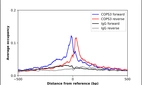 ChIP-Exo-Seq composite graph for Anti-COPS3 (HPA050557, Lot R60456) tested in K562 cells. Strand-specific reads (blue: forward, red: reverse) and IgG controls (black: forward, grey: reverse) are plotted against the distance from a composite set of reference binding sites. The antibody exhibits robust target enrichment compared to a non-specific IgG control and precisely reveals its structural organization around the binding site. Data generated by Prof. B. F. Pugh´s Lab at Cornell University.