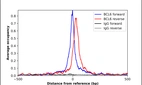 ChIP-Exo-Seq composite graph for Anti-BCL6 (HPA050645, Lot 000025358) tested in HepG2 cells. Strand-specific reads (blue: forward, red: reverse) and IgG controls (black: forward, grey: reverse) are plotted against the distance from a composite set of reference binding sites. The antibody exhibits robust target enrichment compared to a non-specific IgG control and precisely reveals its structural organization around the binding site. Data generated by Prof. B. F. Pugh´s Lab at Cornell University.