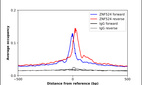 ChIP-Exo-Seq composite graph for Anti-ZNF524 (HPA050981, Lot R60879) tested in K562 cells. Strand-specific reads (blue: forward, red: reverse) and IgG controls (black: forward, grey: reverse) are plotted against the distance from a composite set of reference binding sites. The antibody exhibits robust target enrichment compared to a non-specific IgG control and precisely reveals its structural organization around the binding site. Data generated by Prof. B. F. Pugh´s Lab at Cornell University.