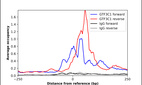 ChIP-Exo-Seq composite graph for Anti-GTF3C1 (HPA051617, Lot R66983) tested in K562 cells. Strand-specific reads (blue: forward, red: reverse) and IgG controls (black: forward, grey: reverse) are plotted against the distance from a composite set of reference binding sites. The antibody exhibits robust target enrichment compared to a non-specific IgG control and precisely reveals its structural organization around the binding site. Data generated by Prof. B. F. Pugh´s Lab at Cornell University.
