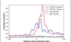 ChIP-Exo-Seq composite graph for Anti-GTF3C1 (HPA051617, Lot R66983) tested in K562 cells. Strand-specific reads (blue: forward, red: reverse) and IgG controls (black: forward, grey: reverse) are plotted against the distance from a composite set of reference binding sites. The antibody exhibits robust target enrichment compared to a non-specific IgG control and precisely reveals its structural organization around the binding site. Data generated by Prof. B. F. Pugh´s Lab at Cornell University.