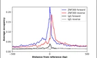 ChIP-Exo-Seq composite graph for Anti-ZNF300 (HPA051777, Lot R67132) tested in K562 cells. Strand-specific reads (blue: forward, red: reverse) and IgG controls (black: forward, grey: reverse) are plotted against the distance from a composite set of reference binding sites. The antibody exhibits robust target enrichment compared to a non-specific IgG control and precisely reveals its structural organization around the binding site. Data generated by Prof. B. F. Pugh´s Lab at Cornell University.