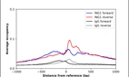 ChIP-Exo-Seq composite graph for Anti-ING1 (HPA052591, Lot R67840) tested in K562 cells. Strand-specific reads (blue: forward, red: reverse) and IgG controls (black: forward, grey: reverse) are plotted against the distance from a composite set of reference binding sites. The antibody exhibits robust target enrichment compared to a non-specific IgG control and precisely reveals its structural organization around the binding site. Data generated by Prof. B. F. Pugh´s Lab at Cornell University.