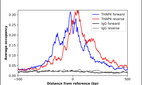 ChIP-Exo-Seq composite graph for Anti-THAP4 (HPA053448, Lot R71152) tested in K562 cells. Strand-specific reads (blue: forward, red: reverse) and IgG controls (black: forward, grey: reverse) are plotted against the distance from a composite set of reference binding sites. The antibody exhibits robust target enrichment compared to a non-specific IgG control and precisely reveals its structural organization around the binding site. Data generated by Prof. B. F. Pugh´s Lab at Cornell University.