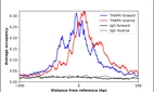 ChIP-Exo-Seq composite graph for Anti-THAP4 (HPA053448, Lot R71152) tested in K562 cells. Strand-specific reads (blue: forward, red: reverse) and IgG controls (black: forward, grey: reverse) are plotted against the distance from a composite set of reference binding sites. The antibody exhibits robust target enrichment compared to a non-specific IgG control and precisely reveals its structural organization around the binding site. Data generated by Prof. B. F. Pugh´s Lab at Cornell University.